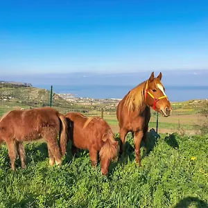 Panoramica Sul Mare Appartamento